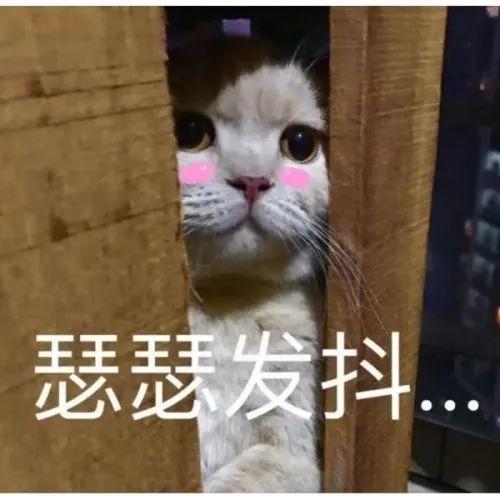 DƬ